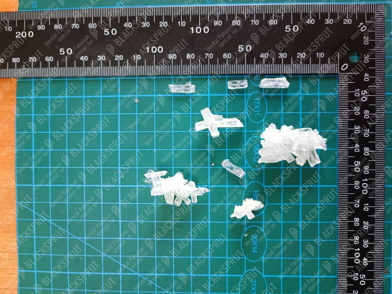 2024-10-24 16.15.37.jpg