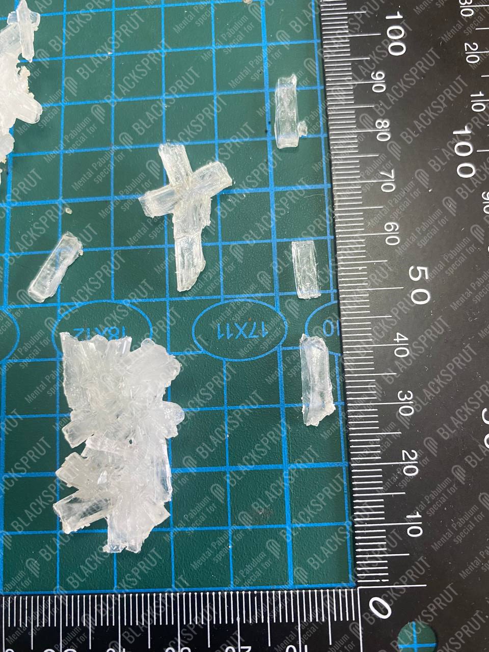 2024-10-24 16.15.41.jpg