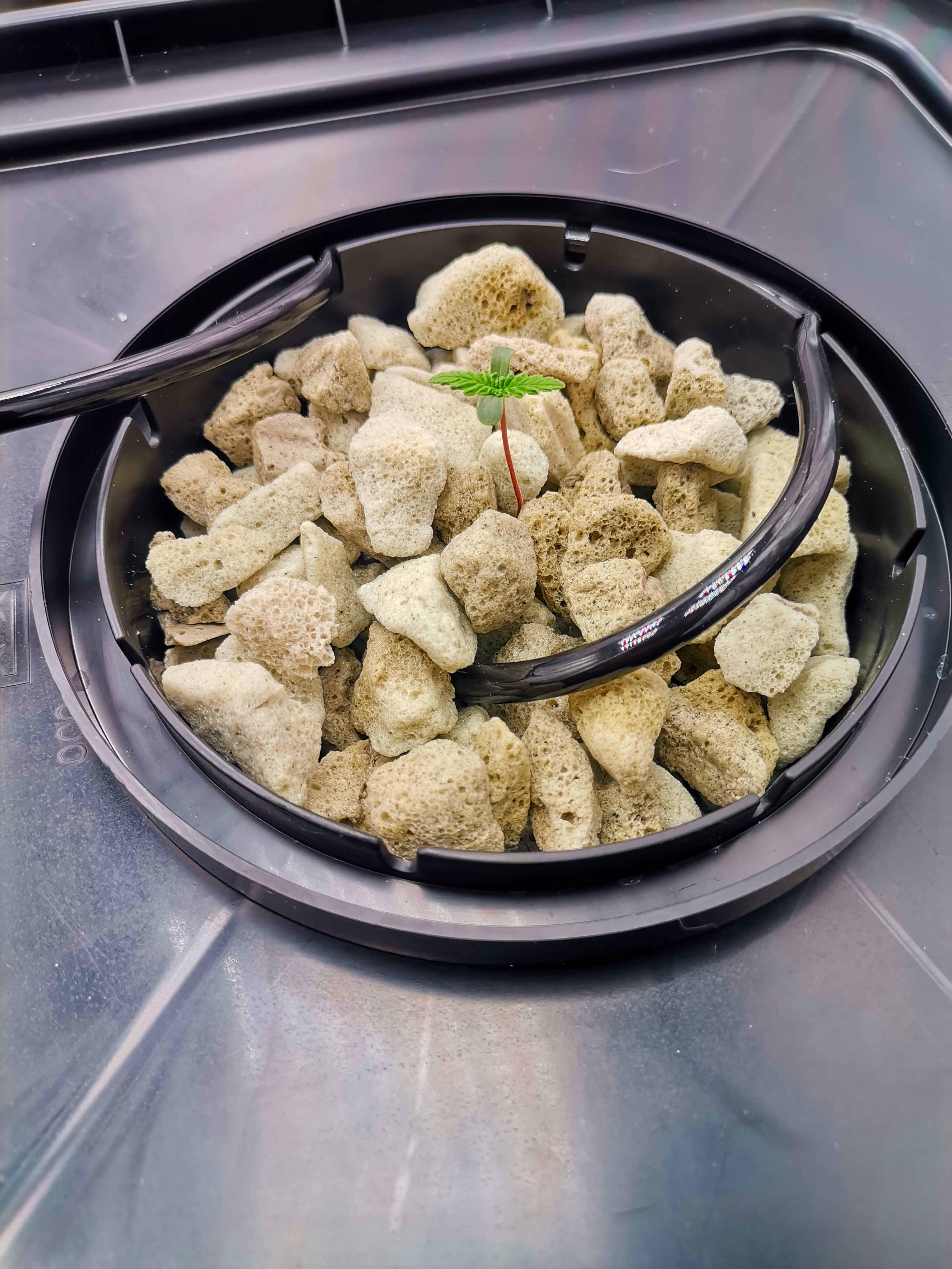 Beyond the Brain10.jpg