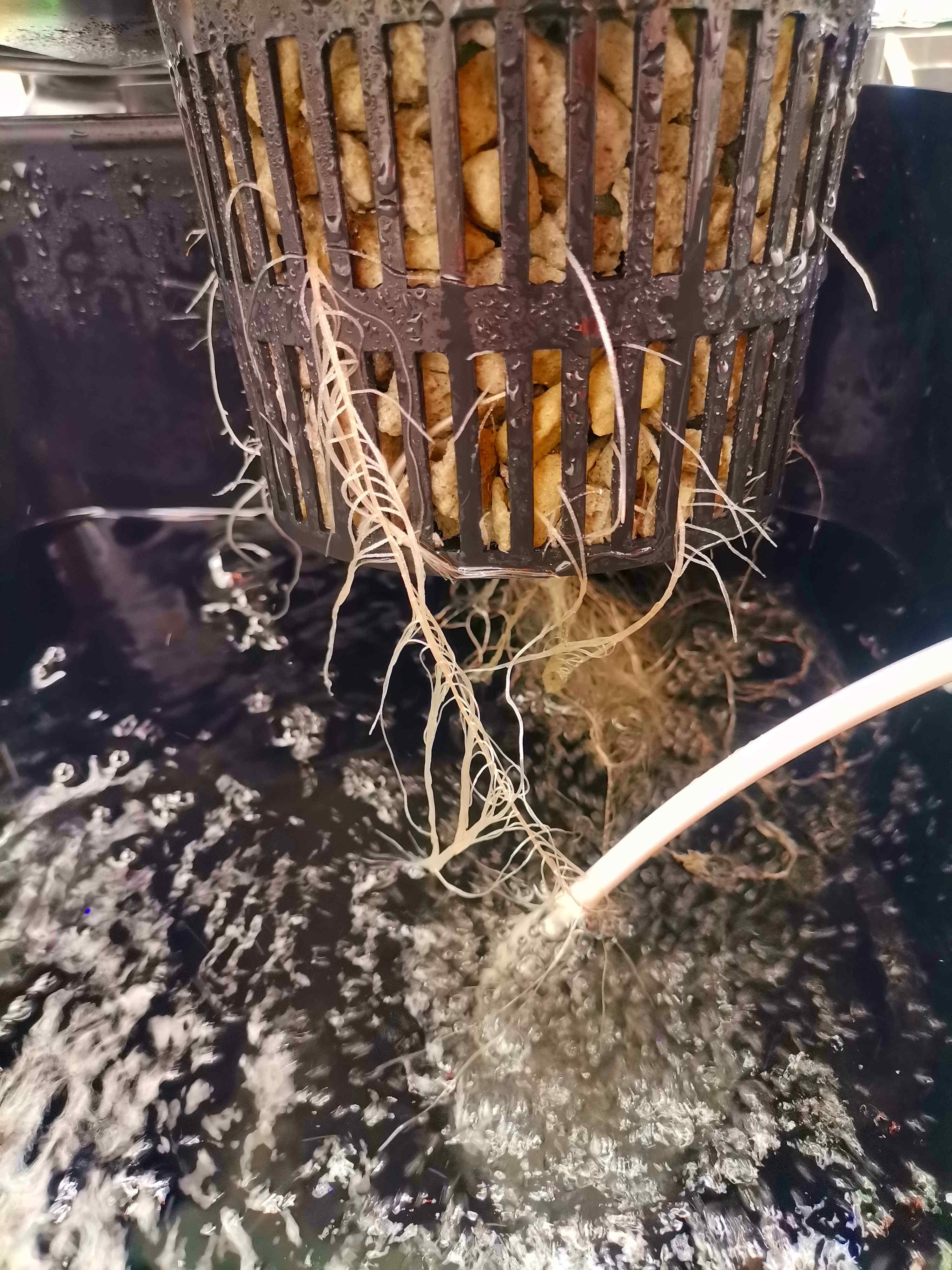 Beyond the Brain8.jpg