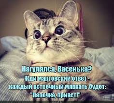 Без имени.jpg