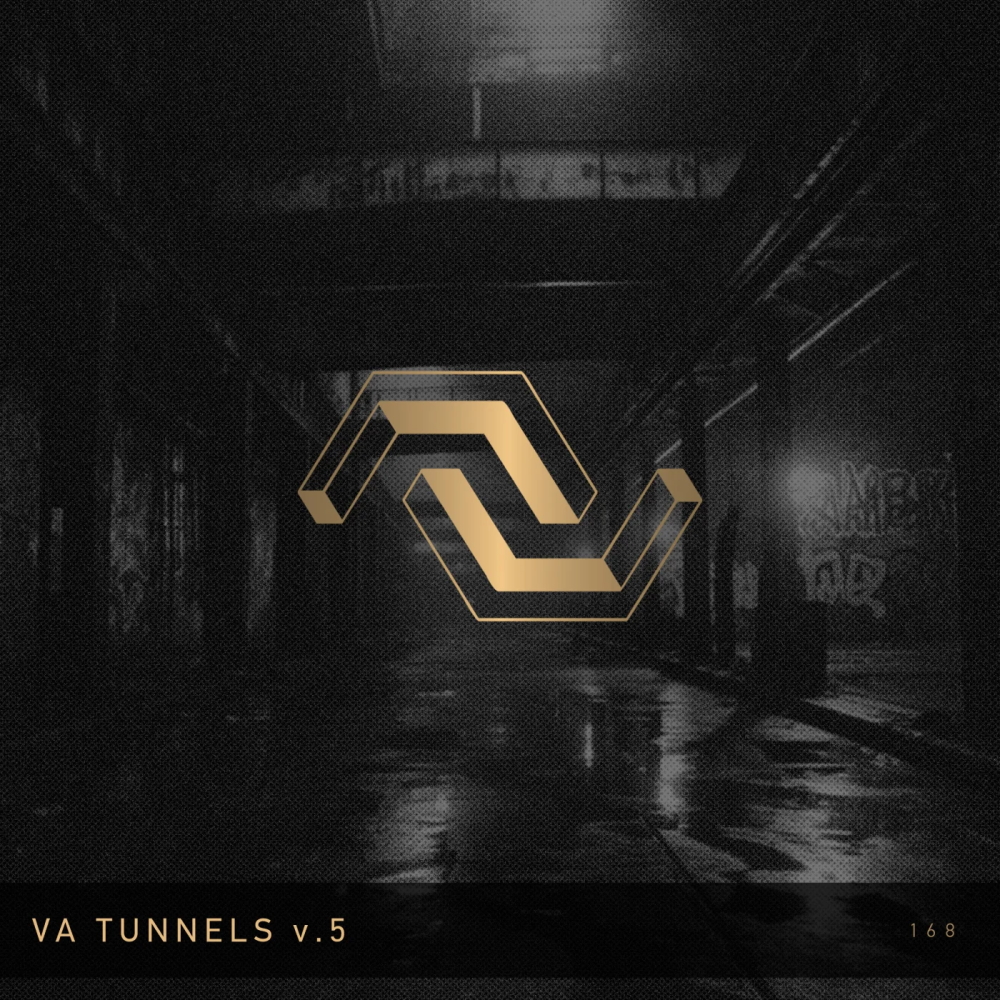Dub Techno Tunnels, Vol. 5 1000x1000.jpg