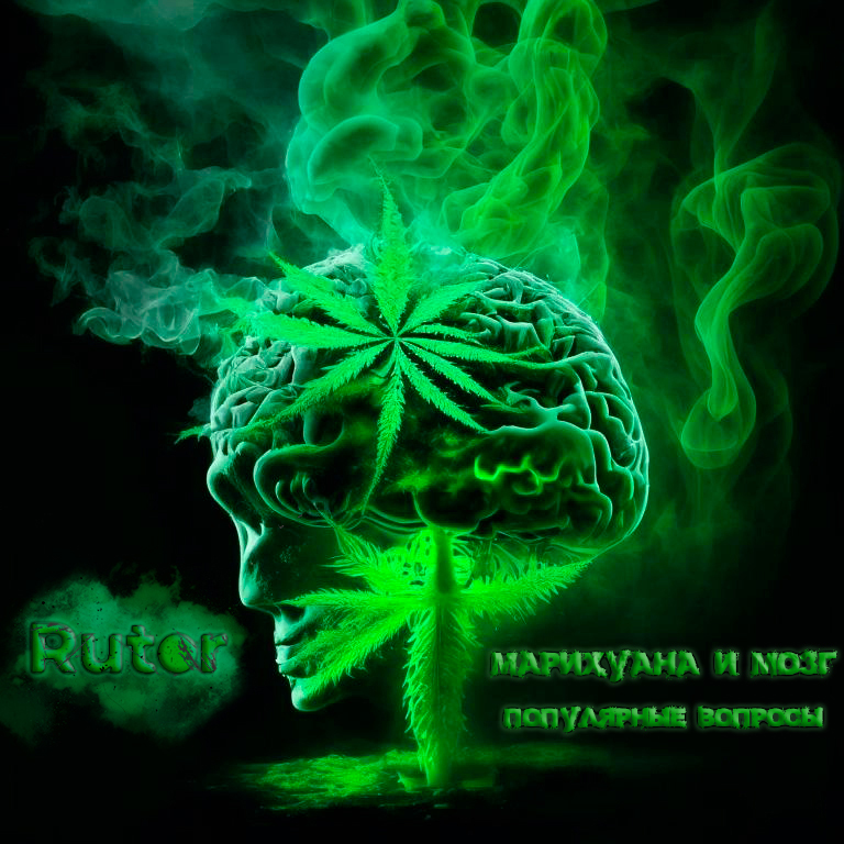 Марихуана и мозг-ОБЛОЖКА.jpg