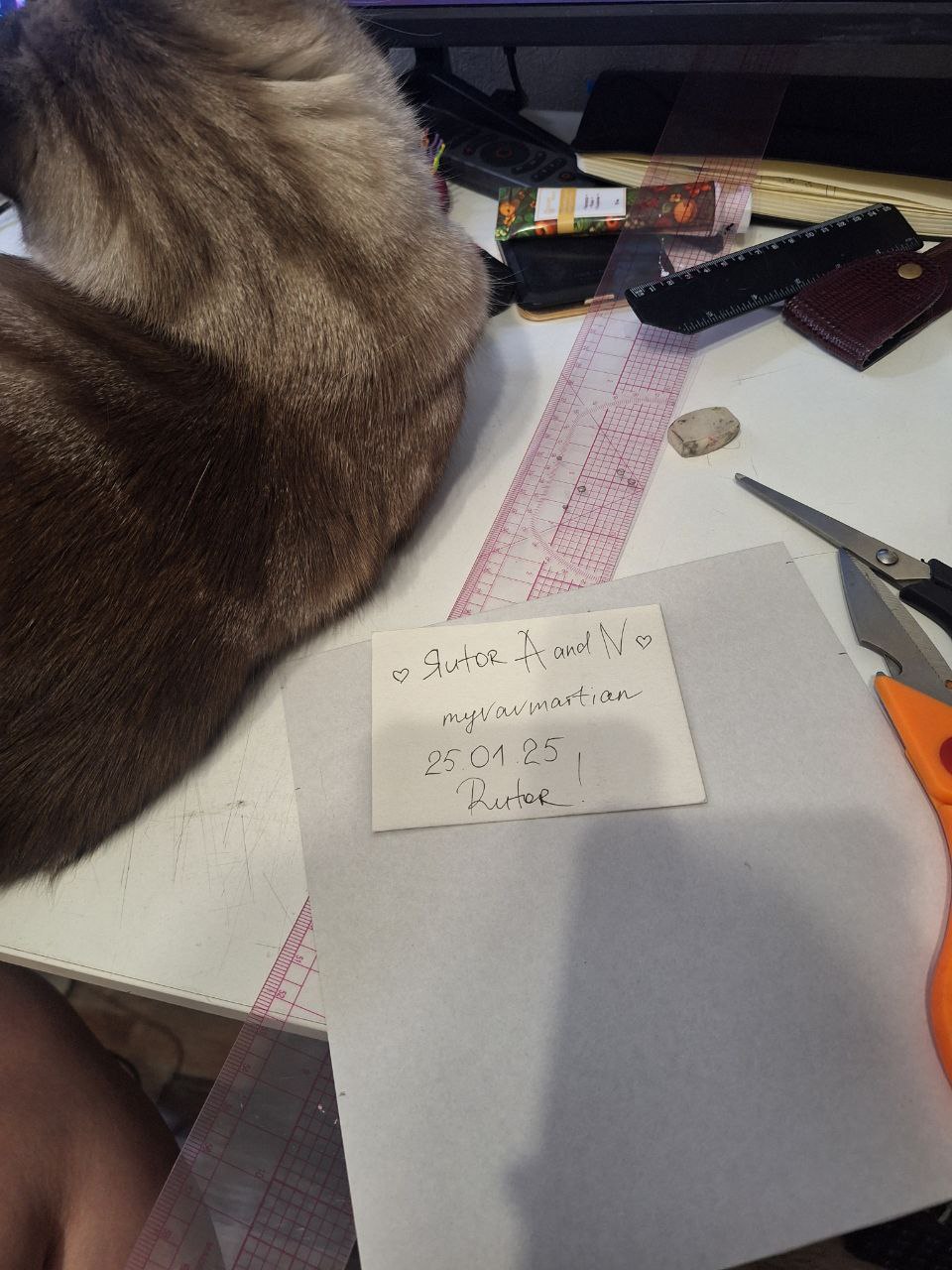 photo_2026-01-26_01-36-27 (3).jpg