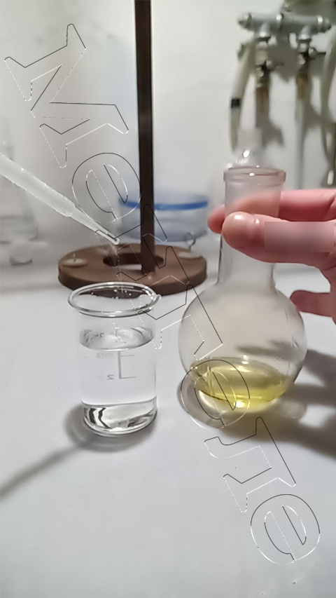 Пустой менгеле 480х853.jpg