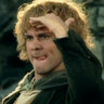 Took Brandybuck